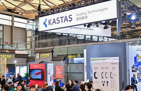Celebrating 20 Years in the Chinese Market